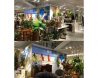 ［イマージュ］WIND OF ASIA 2017 イベント 伊勢丹本店