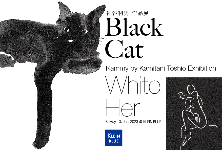 Black Cat White Her